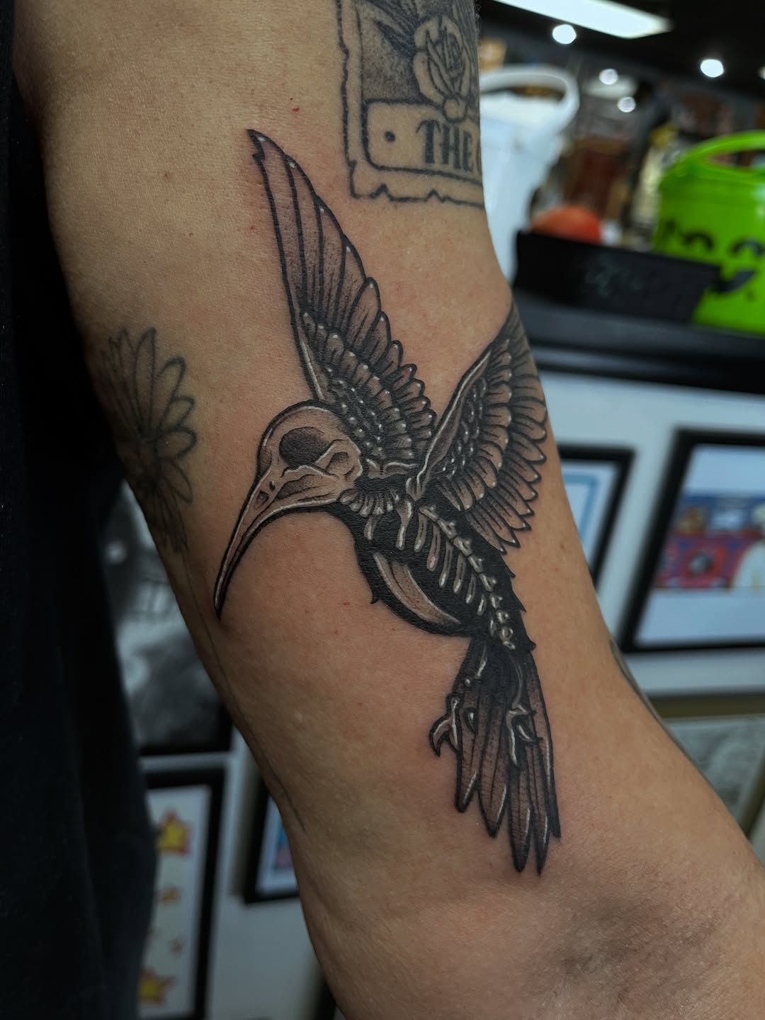 Detailed black and grey skeleton hummingbird tattoo